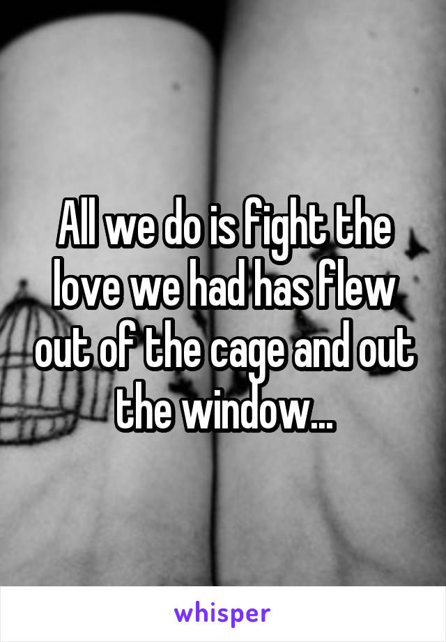 All we do is fight the love we had has flew out of the cage and out the window...