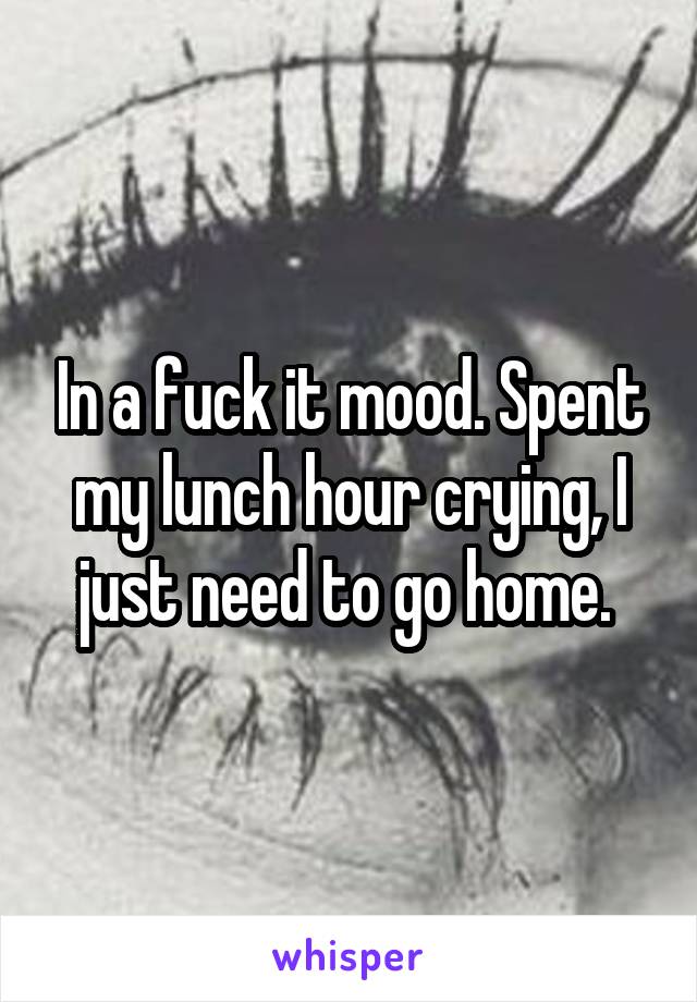 In a fuck it mood. Spent my lunch hour crying, I just need to go home. 