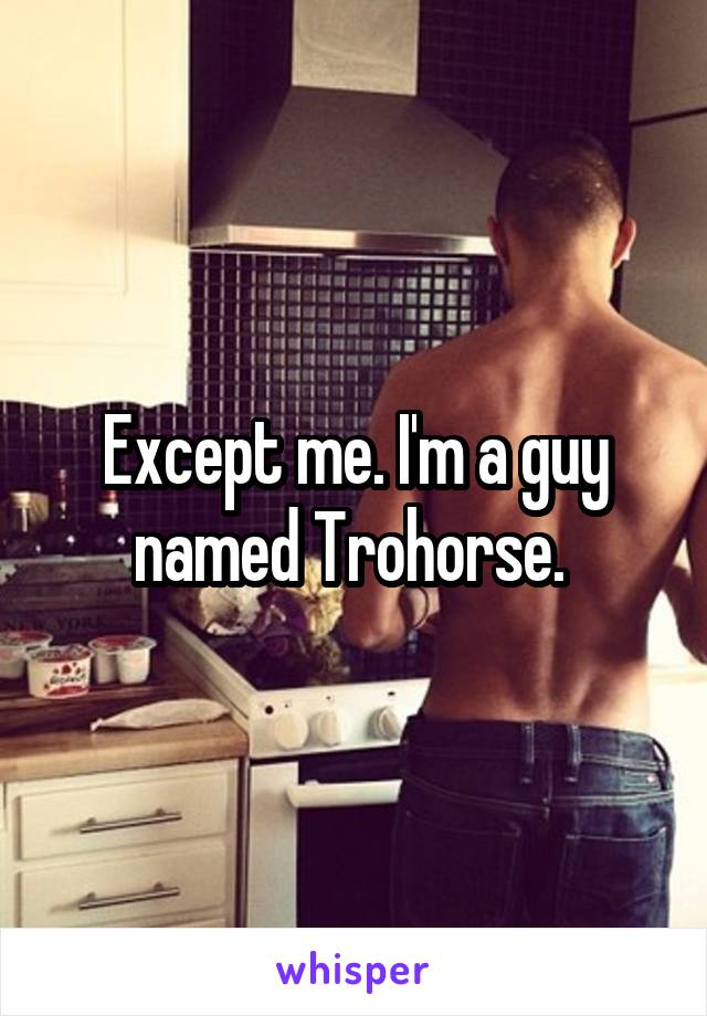 Except me. I'm a guy named Trohorse. 