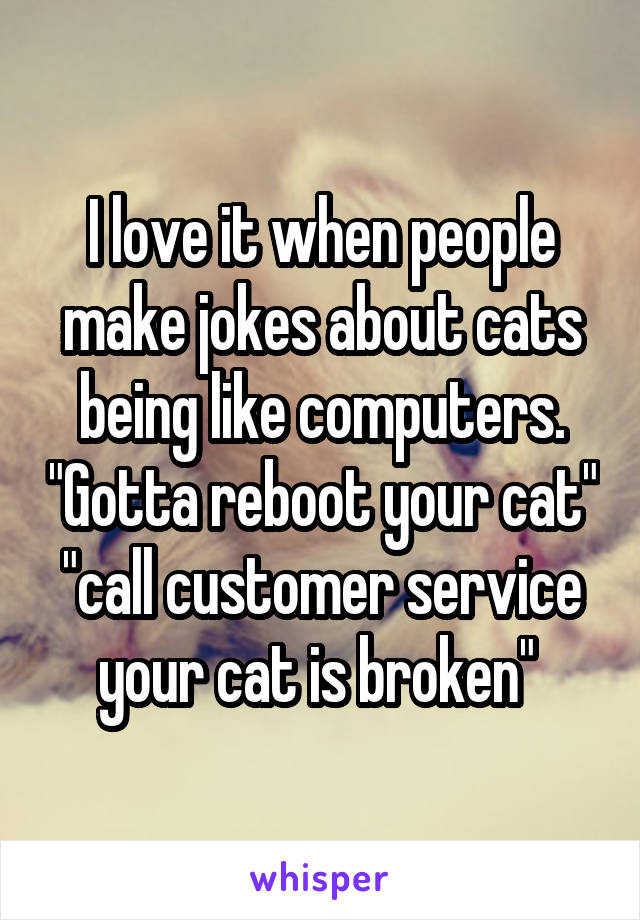 I love it when people make jokes about cats being like computers. "Gotta reboot your cat" "call customer service your cat is broken" 