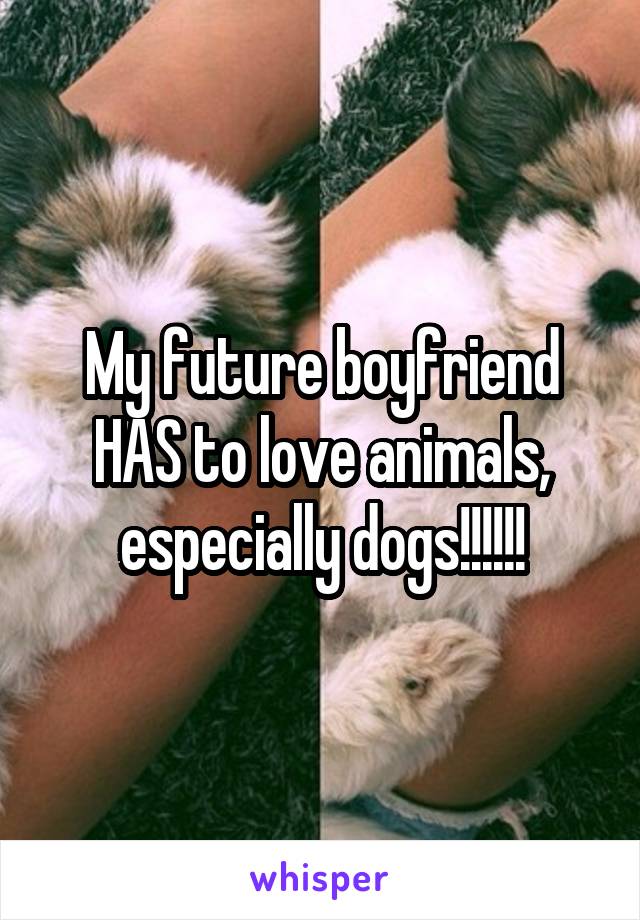 My future boyfriend HAS to love animals, especially dogs!!!!!!