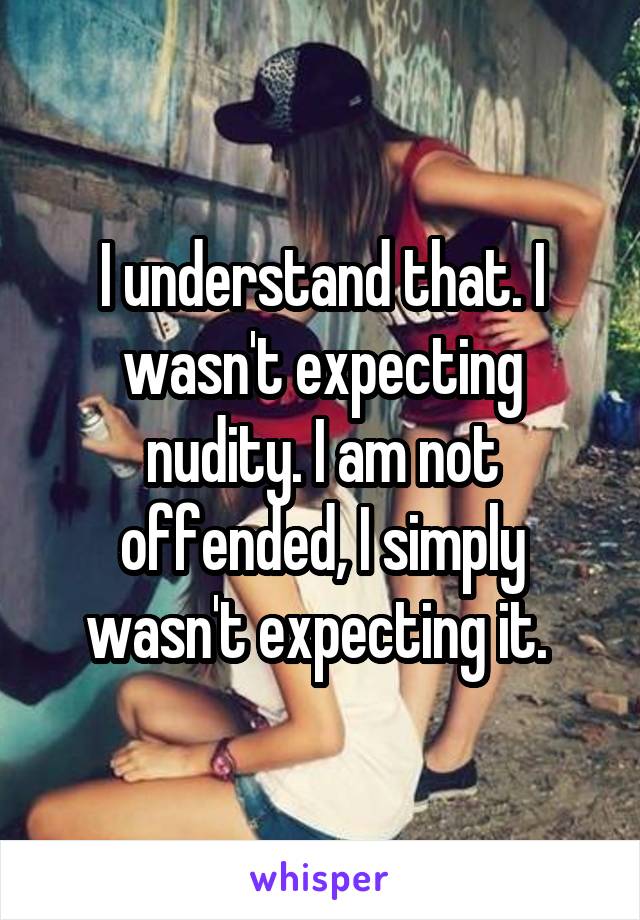 I understand that. I wasn't expecting nudity. I am not offended, I simply wasn't expecting it. 