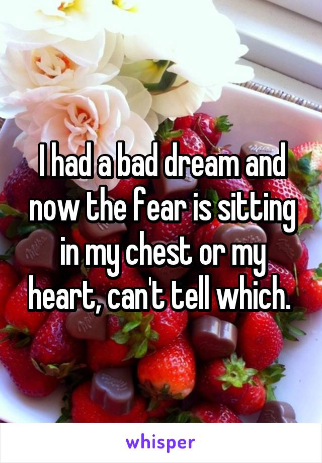 I had a bad dream and now the fear is sitting in my chest or my heart, can't tell which. 