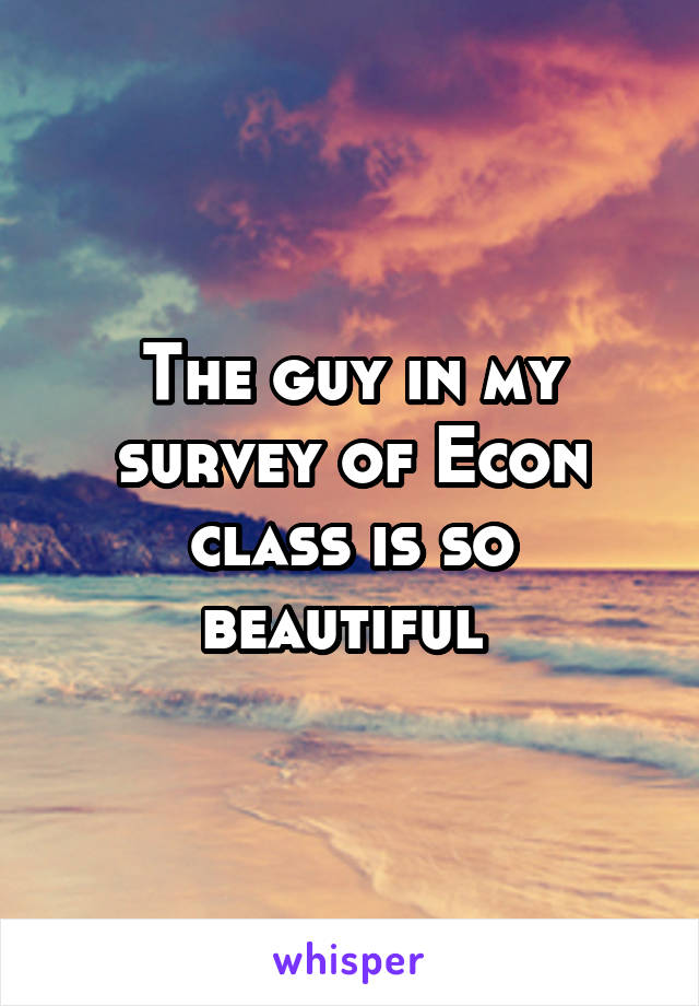 The guy in my survey of Econ class is so beautiful 