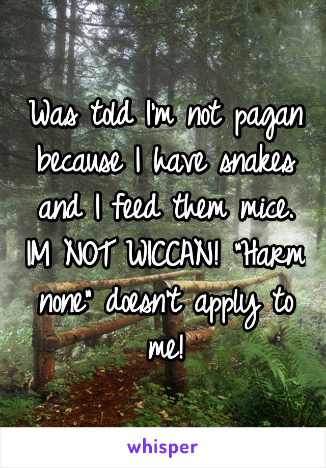Was told I'm not pagan because I have snakes and I feed them mice. IM NOT WICCAN! "Harm none" doesn't apply to me!