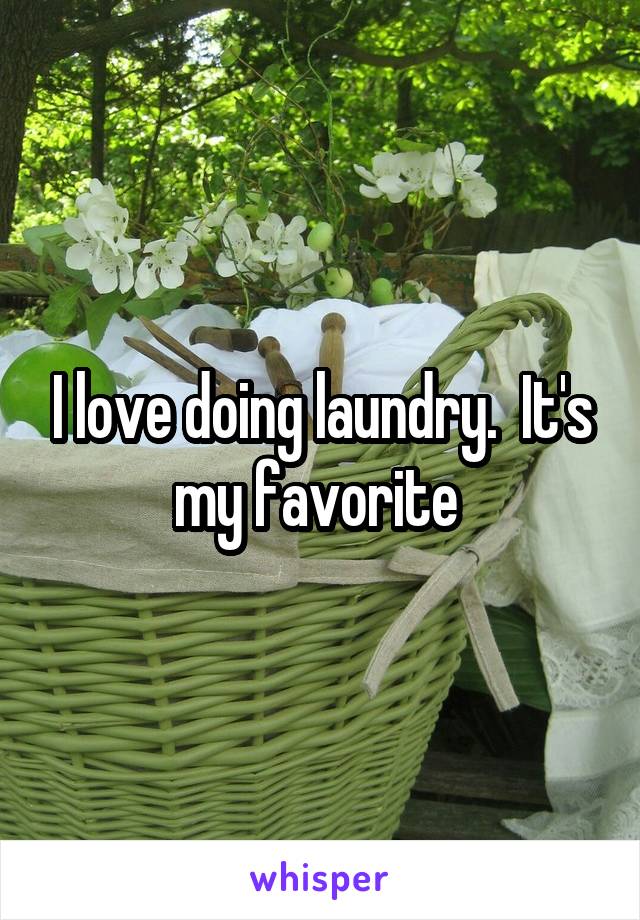 I love doing laundry.  It's my favorite 