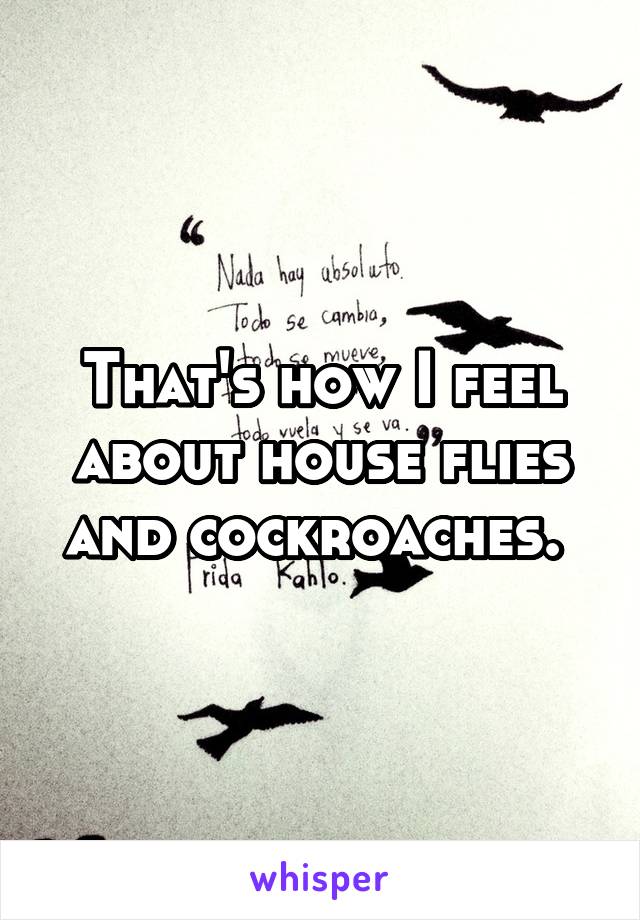 That's how I feel about house flies and cockroaches. 
