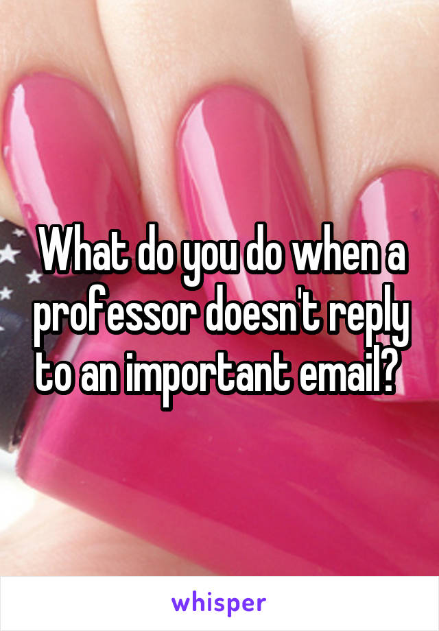 What do you do when a professor doesn't reply to an important email? 