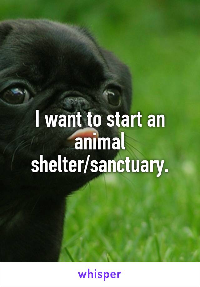 I want to start an animal shelter/sanctuary.