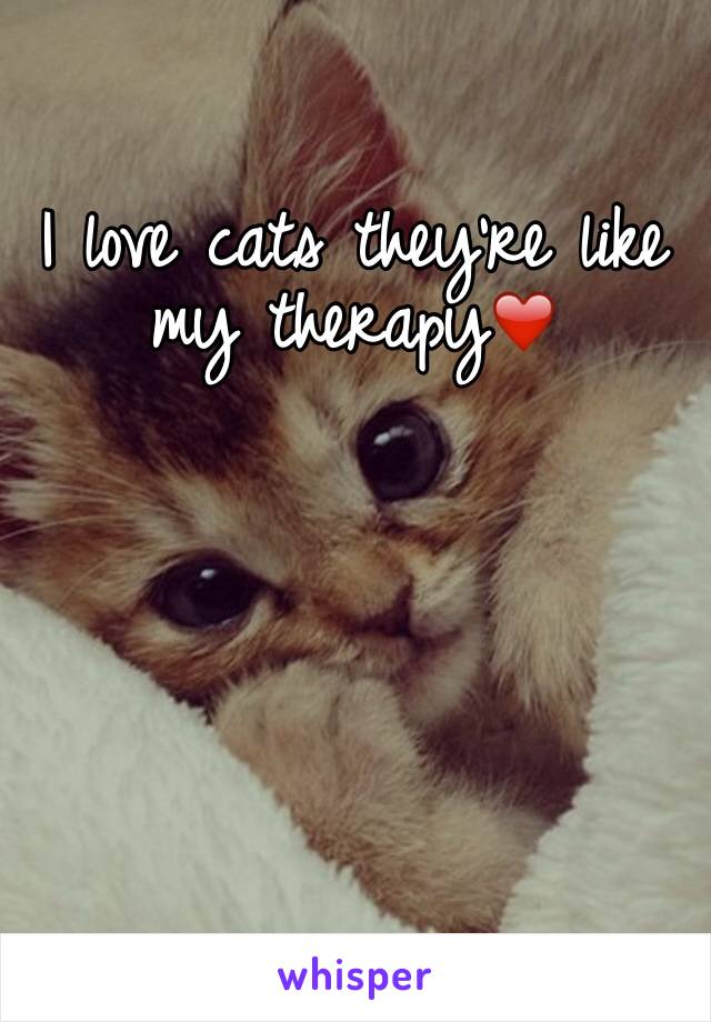 I love cats they're like my therapy❤️
