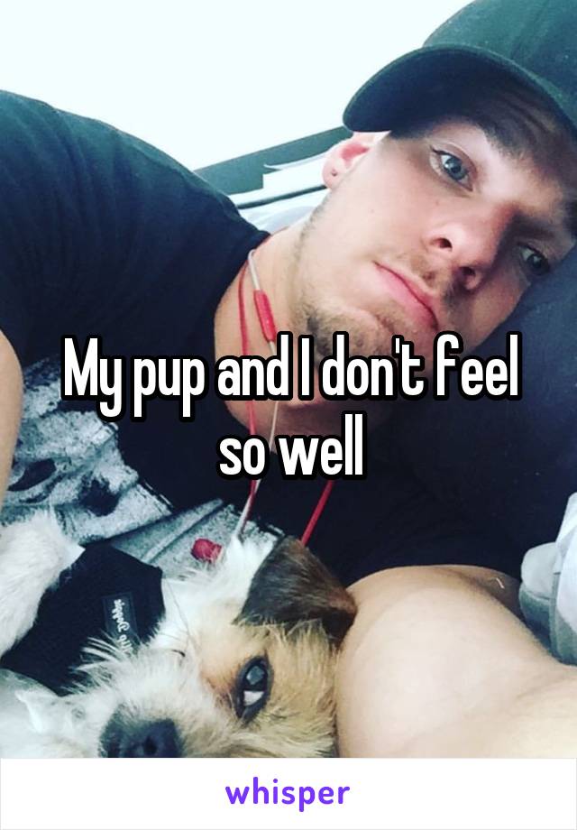 My pup and I don't feel so well