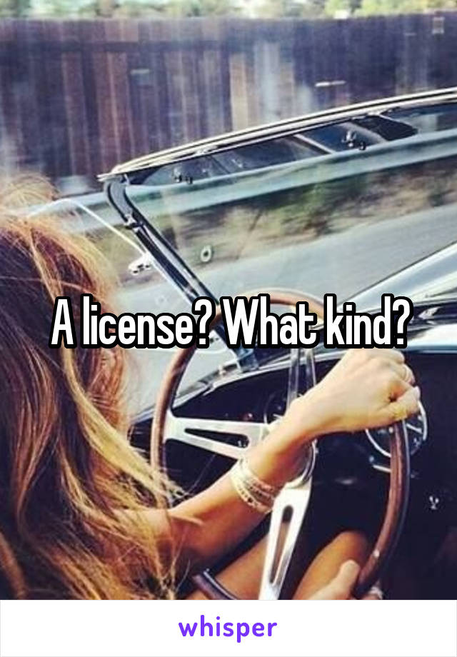A license? What kind?