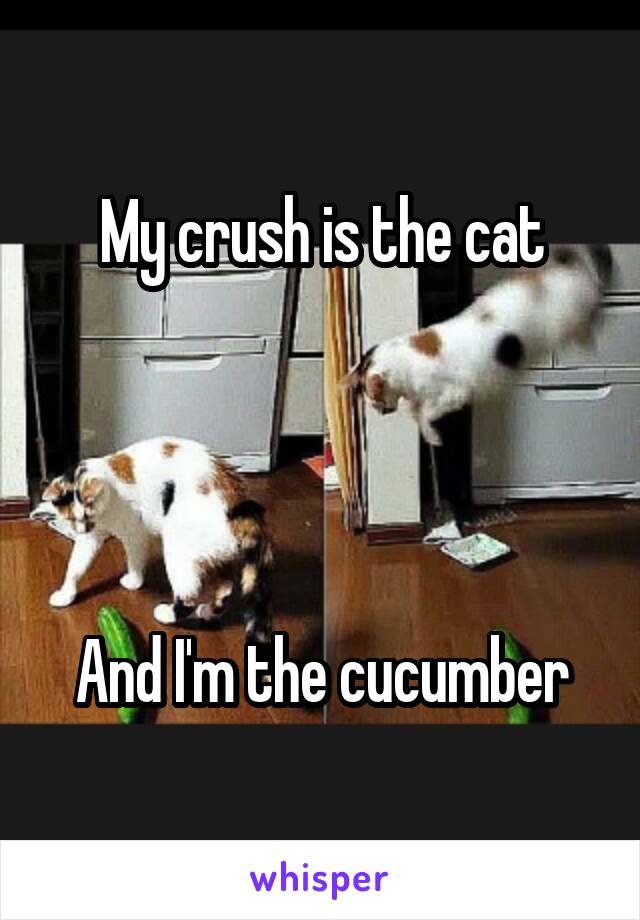 My crush is the cat




And I'm the cucumber