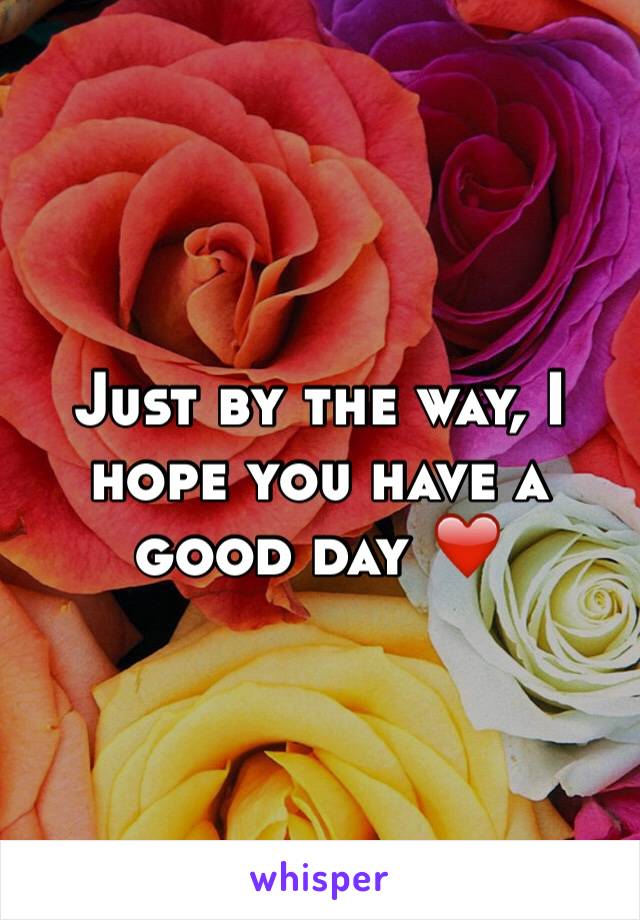 Just by the way, I hope you have a good day ❤️