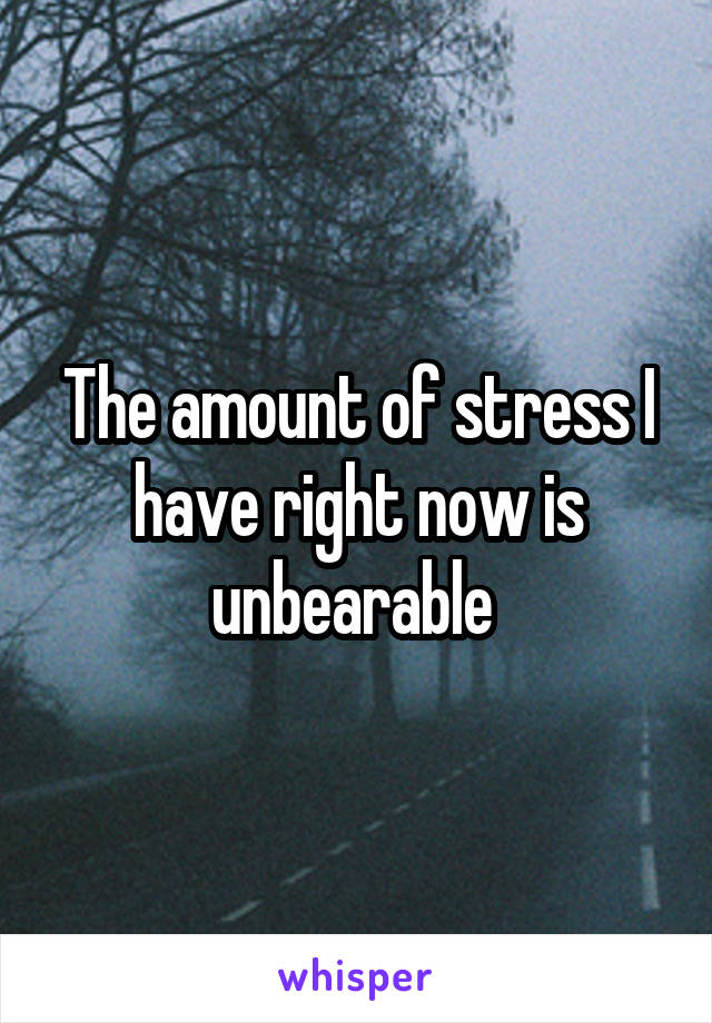 The amount of stress I have right now is unbearable 