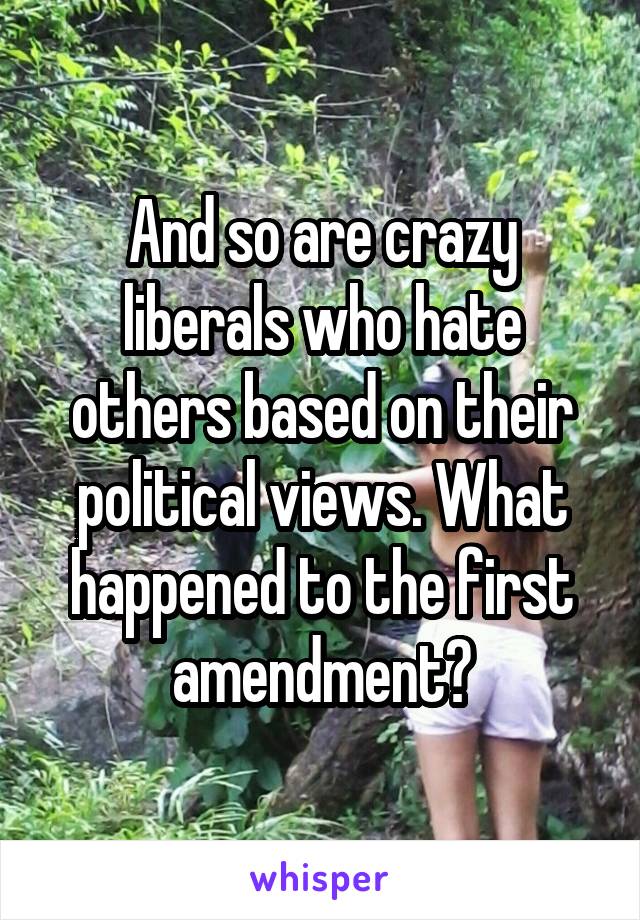 And so are crazy liberals who hate others based on their political views. What happened to the first amendment?