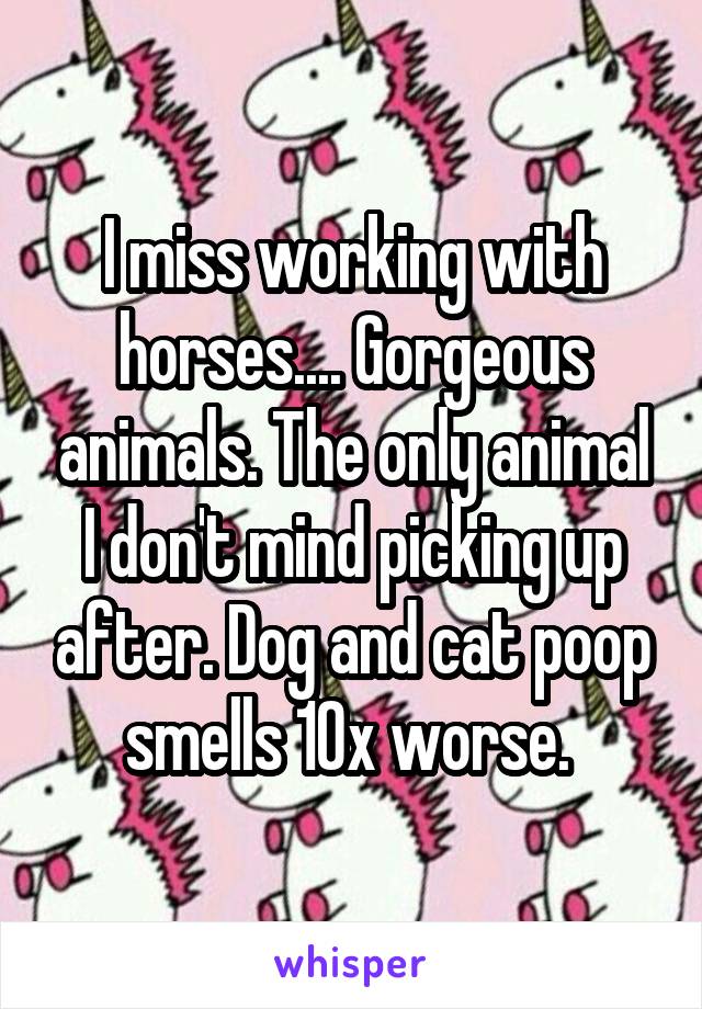 I miss working with horses.... Gorgeous animals. The only animal I don't mind picking up after. Dog and cat poop smells 10x worse. 