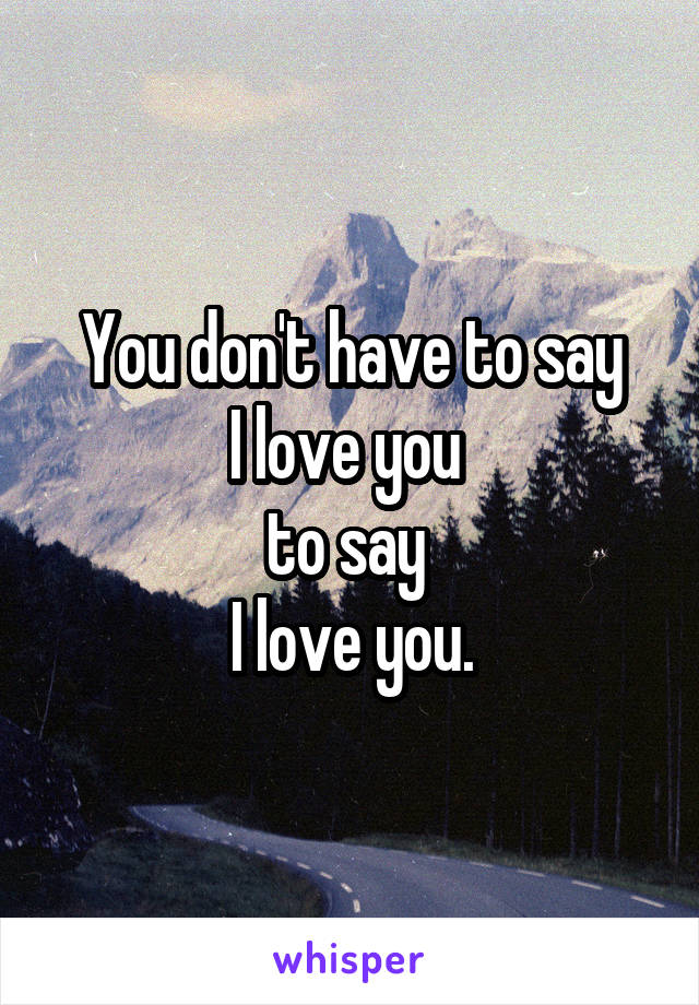 You don't have to say
I love you 
to say 
I love you.