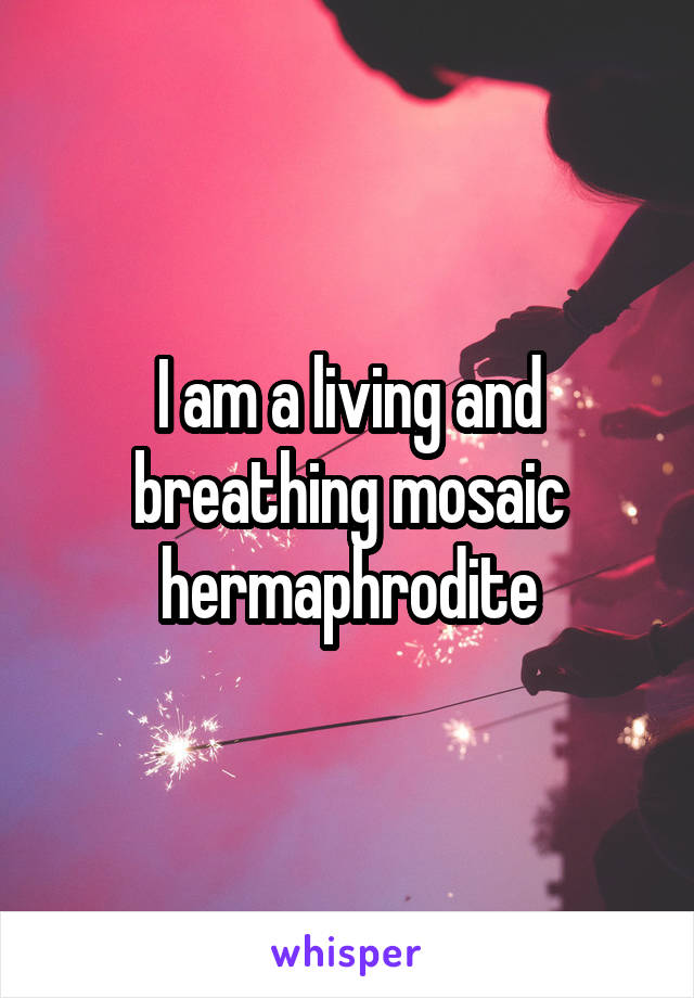 I am a living and breathing mosaic hermaphrodite