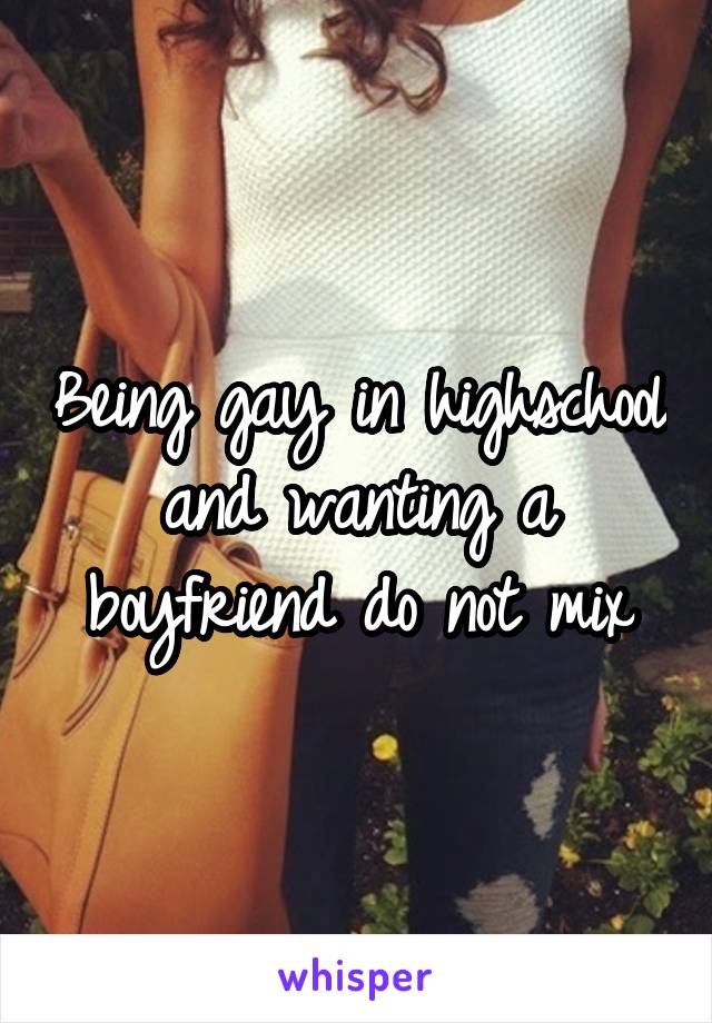 Being gay in highschool and wanting a boyfriend do not mix