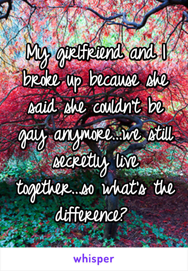 My girlfriend and I broke up because she said she couldn't be gay anymore...we still secretly live together...so what's the difference? 