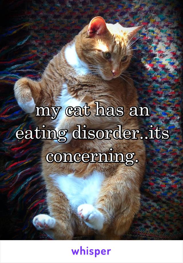 my cat has an eating disorder..its concerning.