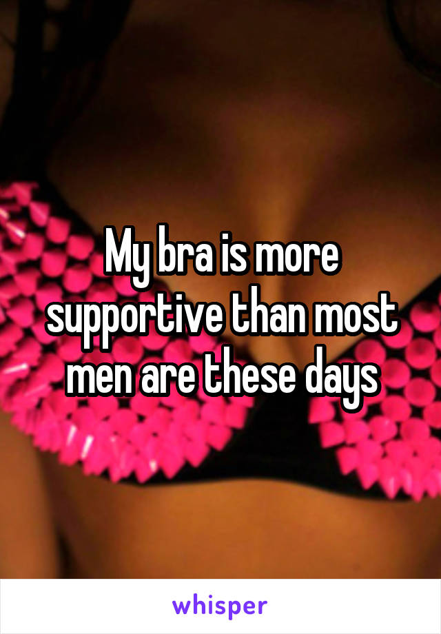 My bra is more supportive than most men are these days