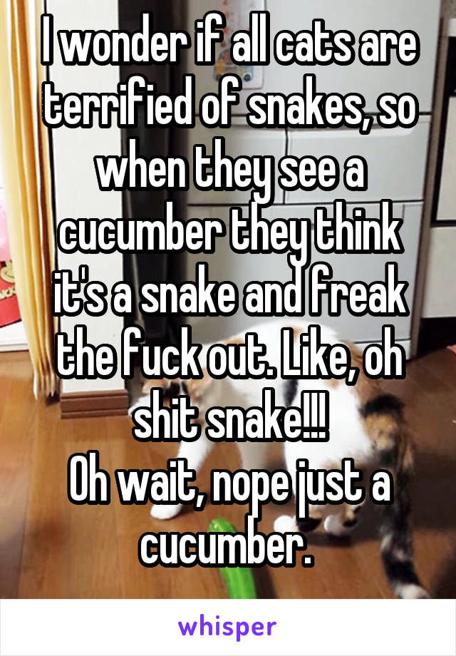 I wonder if all cats are terrified of snakes, so when they see a cucumber they think it's a snake and freak the fuck out. Like, oh shit snake!!!
Oh wait, nope just a cucumber. 
