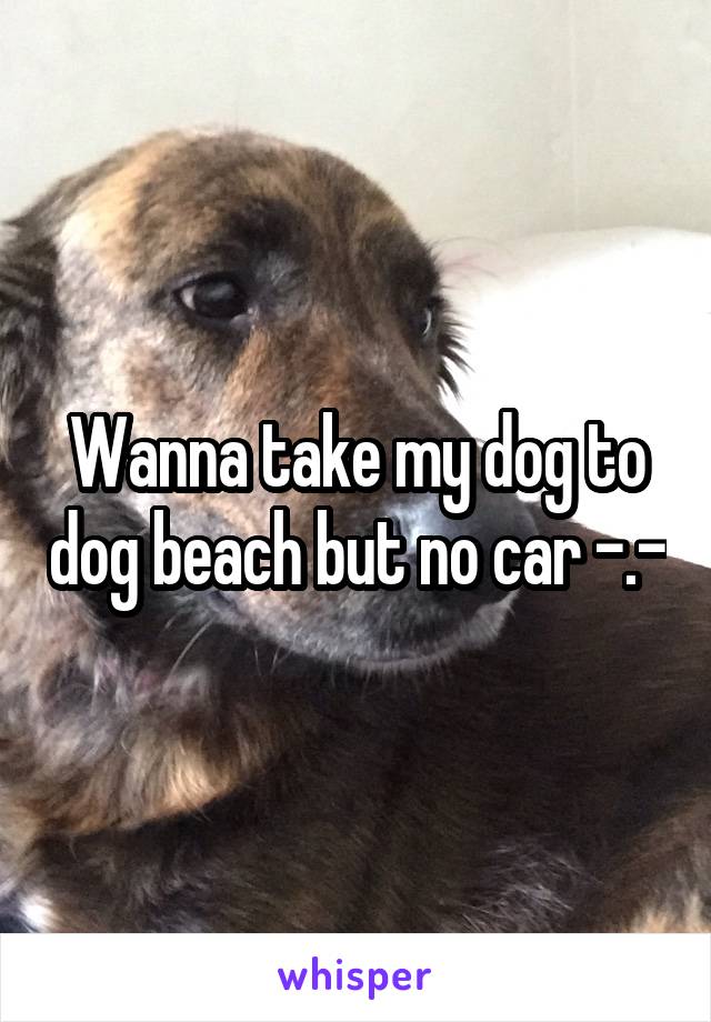 Wanna take my dog to dog beach but no car -.-