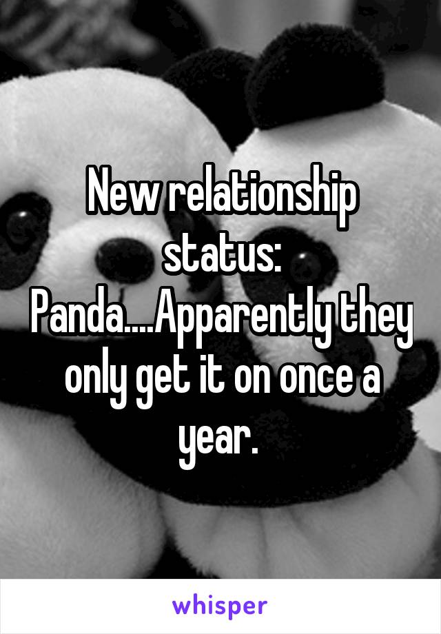 New relationship status: Panda....Apparently they only get it on once a year. 