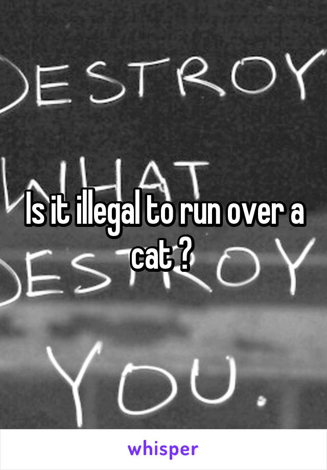 Is it illegal to run over a cat ? 