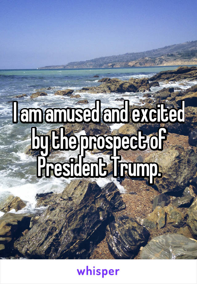 I am amused and excited by the prospect of President Trump.