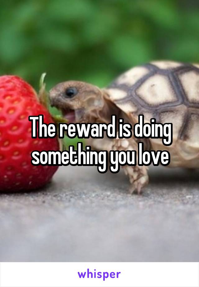 The reward is doing something you love