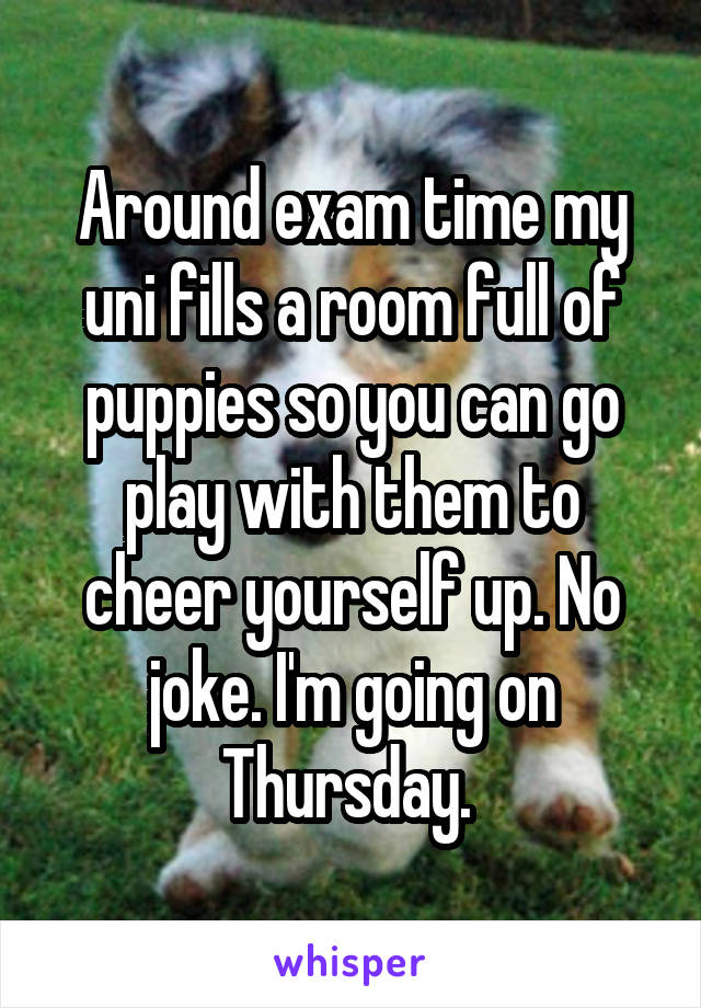 Around exam time my uni fills a room full of puppies so you can go play with them to cheer yourself up. No joke. I'm going on Thursday. 