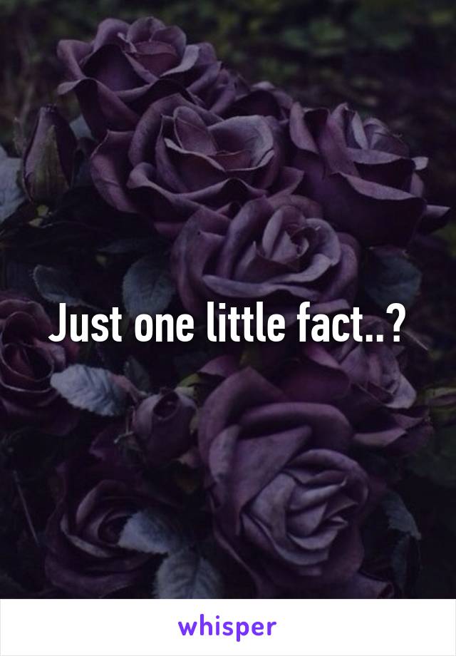 Just one little fact..?