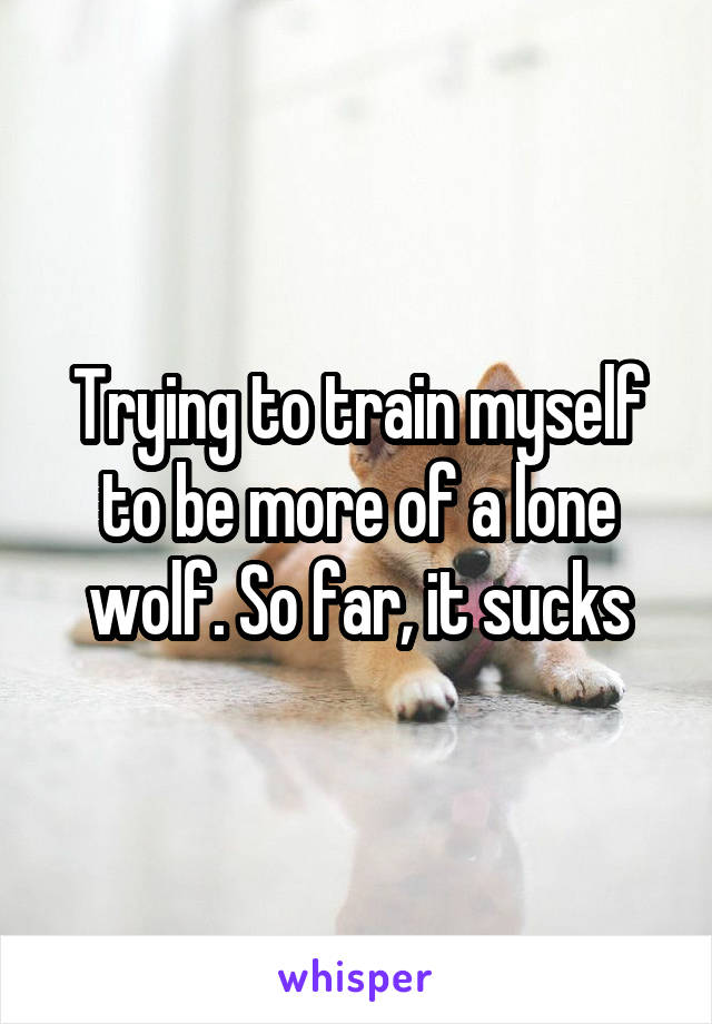 Trying to train myself to be more of a lone wolf. So far, it sucks