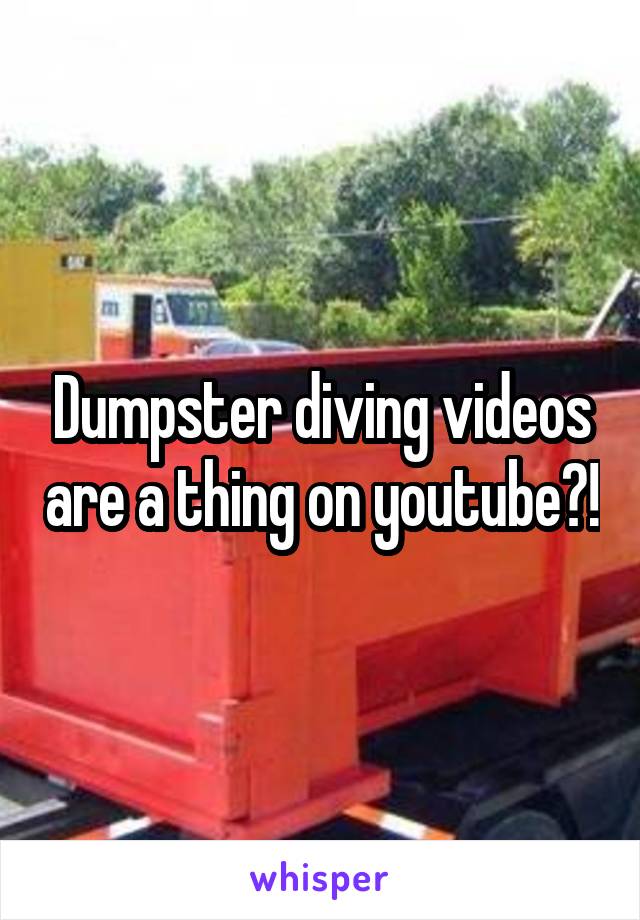 Dumpster diving videos are a thing on youtube?!