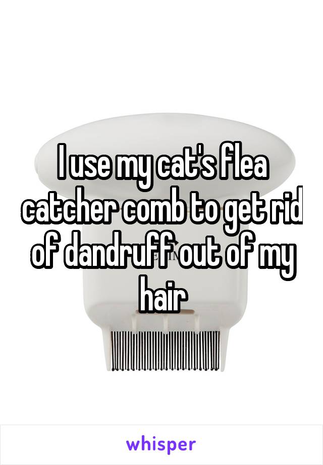 I use my cat's flea catcher comb to get rid of dandruff out of my hair