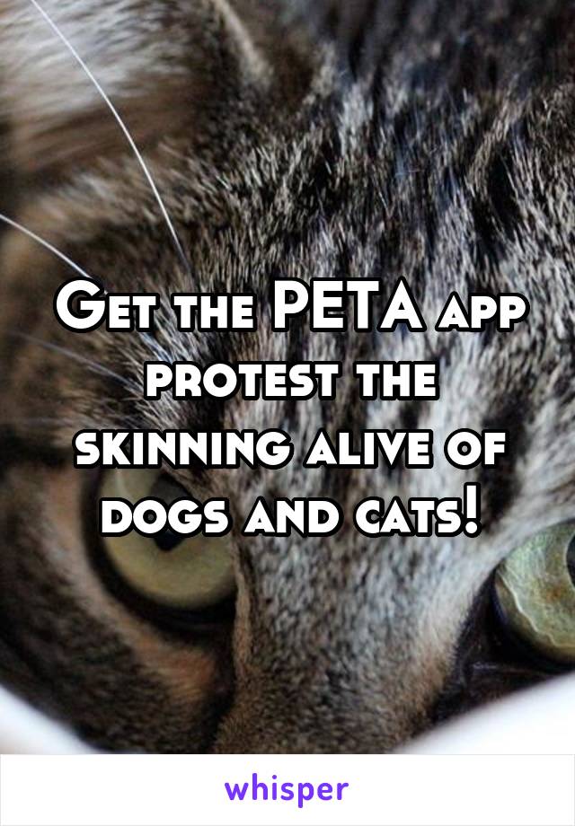 Get the PETA app protest the skinning alive of dogs and cats!