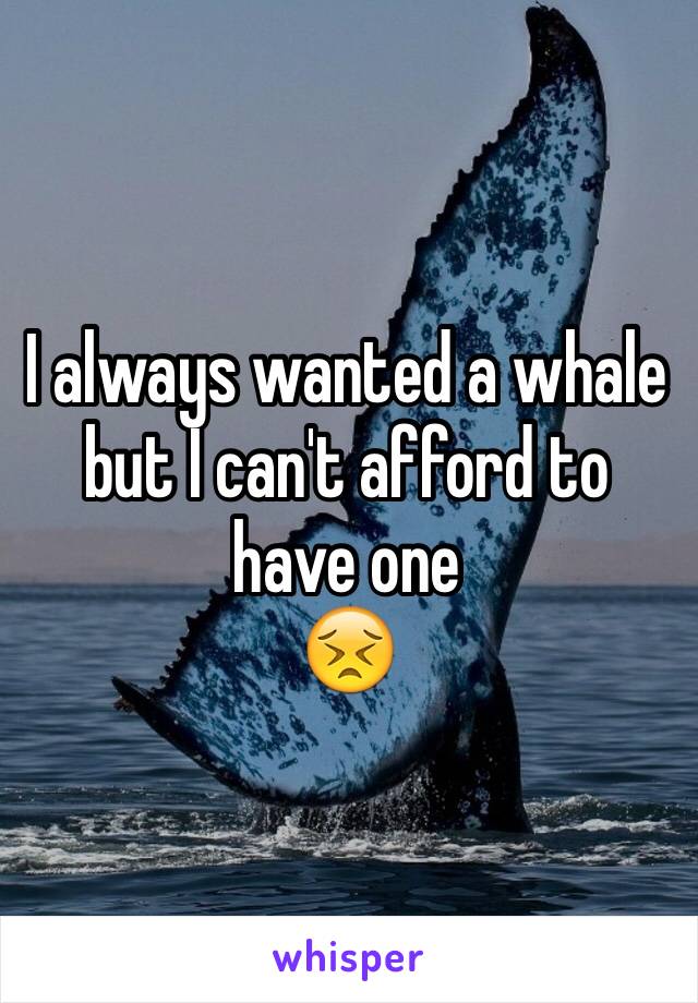 I always wanted a whale but I can't afford to have one
😣