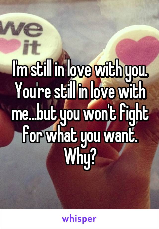 I'm still in love with you. You're still in love with me...but you won't fight for what you want. Why?