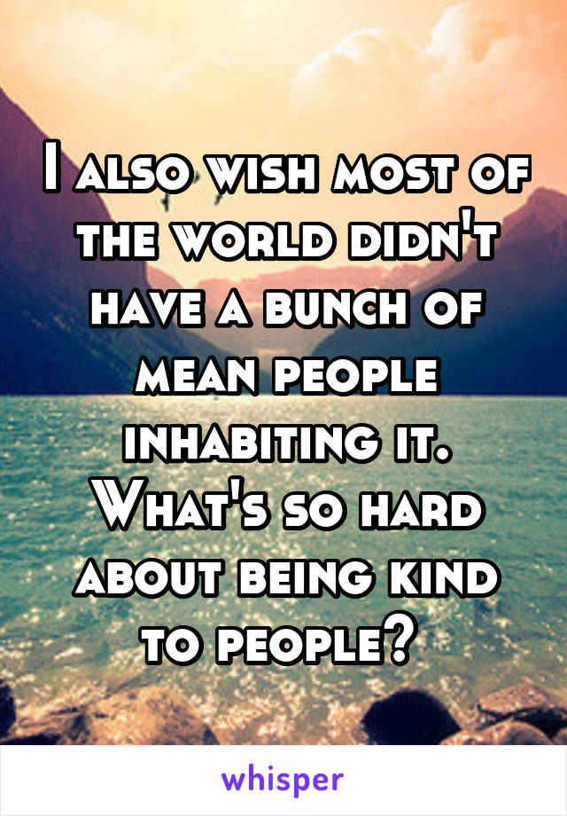 I also wish most of the world didn't have a bunch of mean people inhabiting it. What's so hard about being kind to people? 