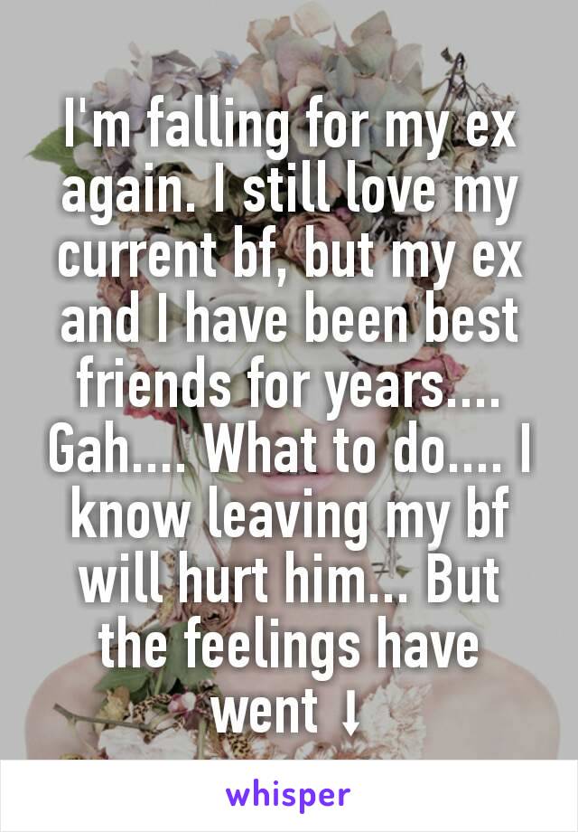 I'm falling for my ex again. I still love my current bf, but my ex and I have been best friends for years.... Gah.... What to do.... I know leaving my bf will hurt him... But the feelings have went ⬇