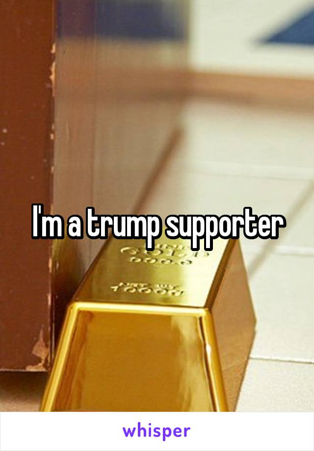 I'm a trump supporter