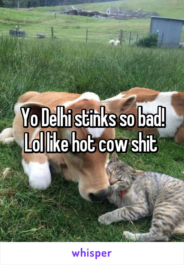 Yo Delhi stinks so bad! Lol like hot cow shit 