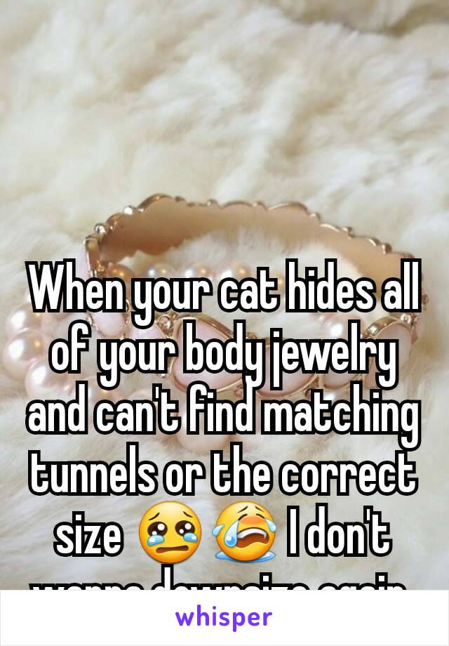 When your cat hides all of your body jewelry and can't find matching tunnels or the correct size 😢😭 I don't wanna downsize again 