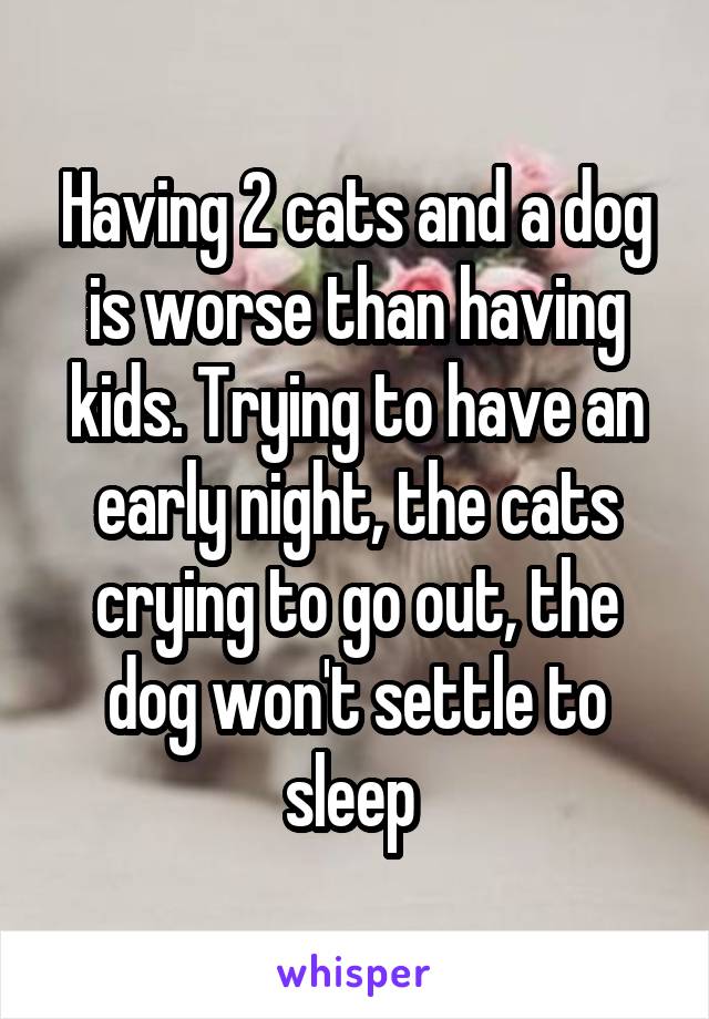 Having 2 cats and a dog is worse than having kids. Trying to have an early night, the cats crying to go out, the dog won't settle to sleep 