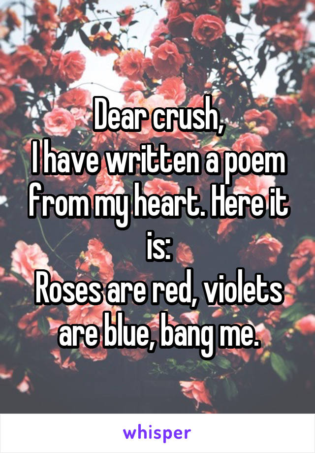 Dear crush,
I have written a poem from my heart. Here it is:
Roses are red, violets are blue, bang me.