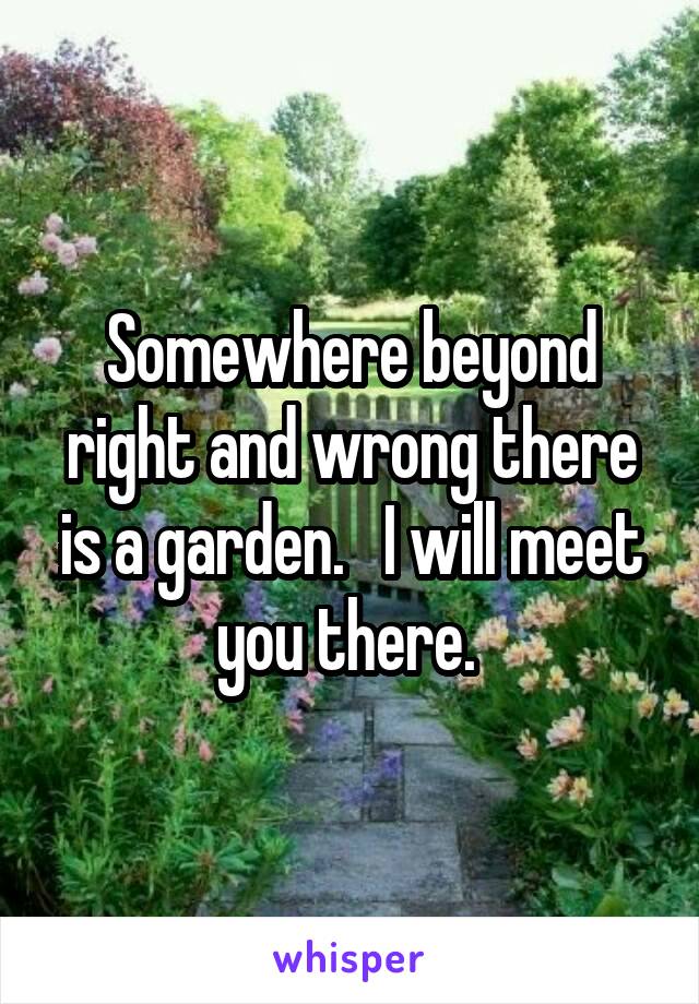 Somewhere beyond right and wrong there is a garden.   I will meet you there. 