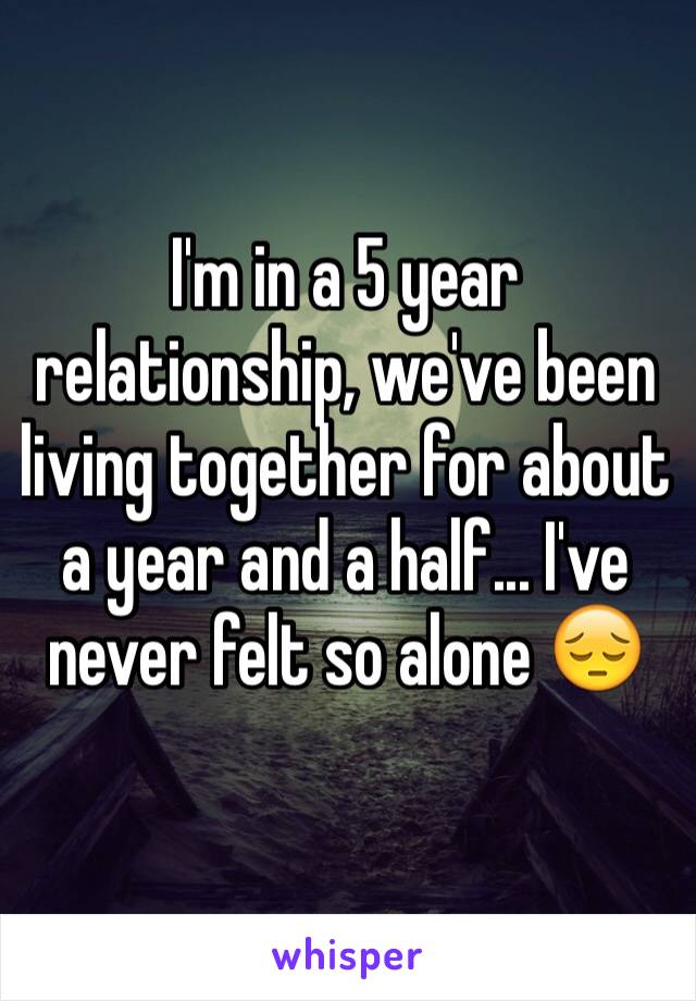 I'm in a 5 year relationship, we've been living together for about a year and a half... I've never felt so alone 😔